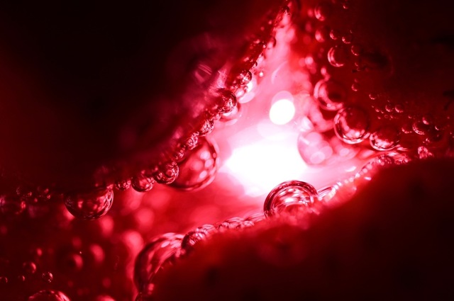 C2380FBD-3932-4AD2-908A-07351968EEF6.jpeg